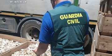 Investigadas tres personas en la Mancha conquense por apropiación indebida y estafa: se quedaron los ajos que no eran suyos