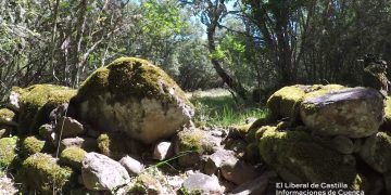Los Casares. Un castro celtíbero del siglo III adeC