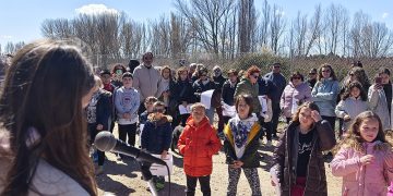 Reportaje. Se replantan árboles y aromáticas destruidos el pasado miércoles en Chillarón