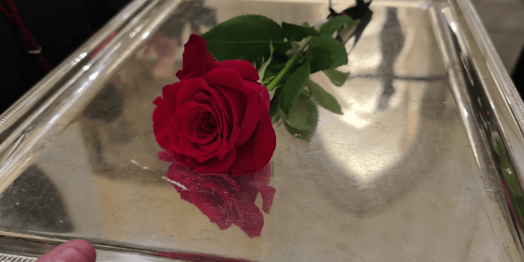 Galería de imágenes. La Vera Cruz, Procesión Penitencial y la luna gibosa